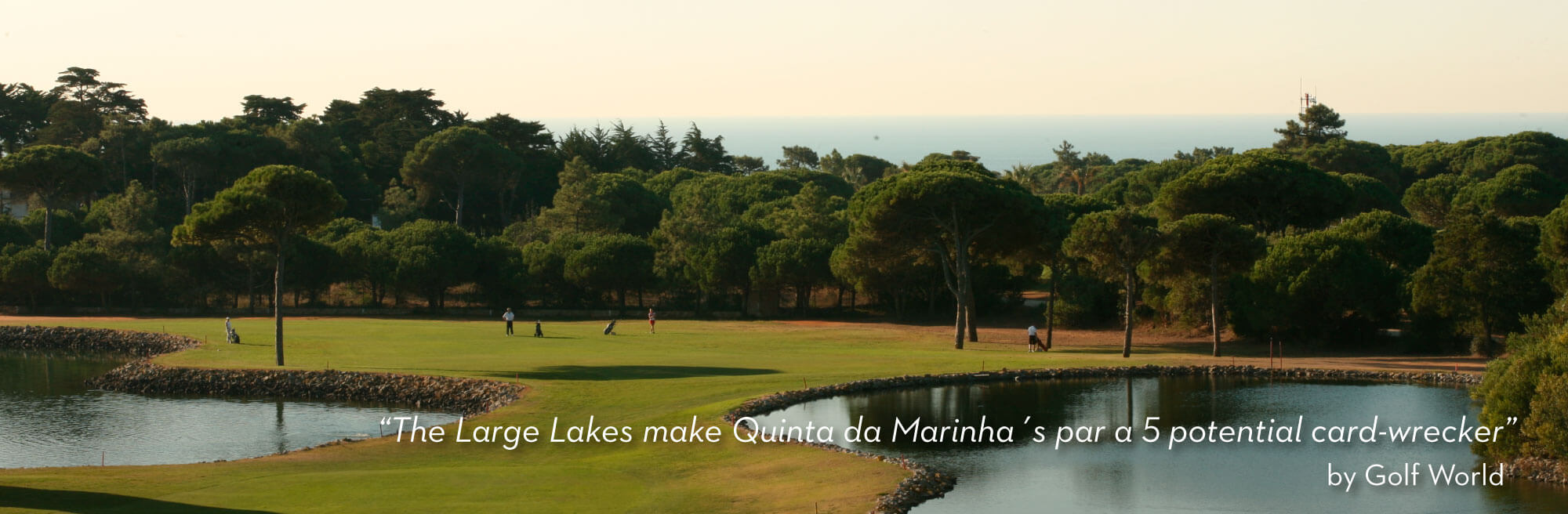 What they wrote about us