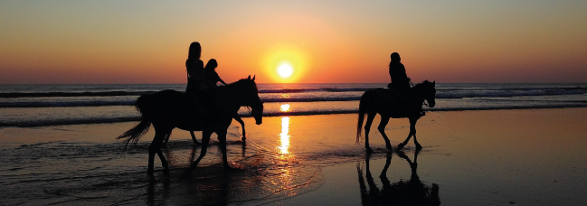 HorseBack Riding - Equestrian Centre