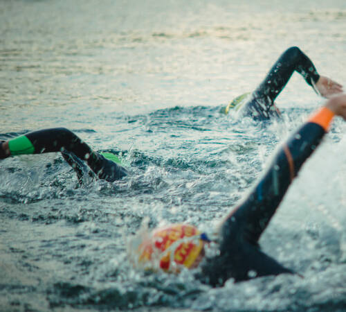 Hotel Oficial Swim GP