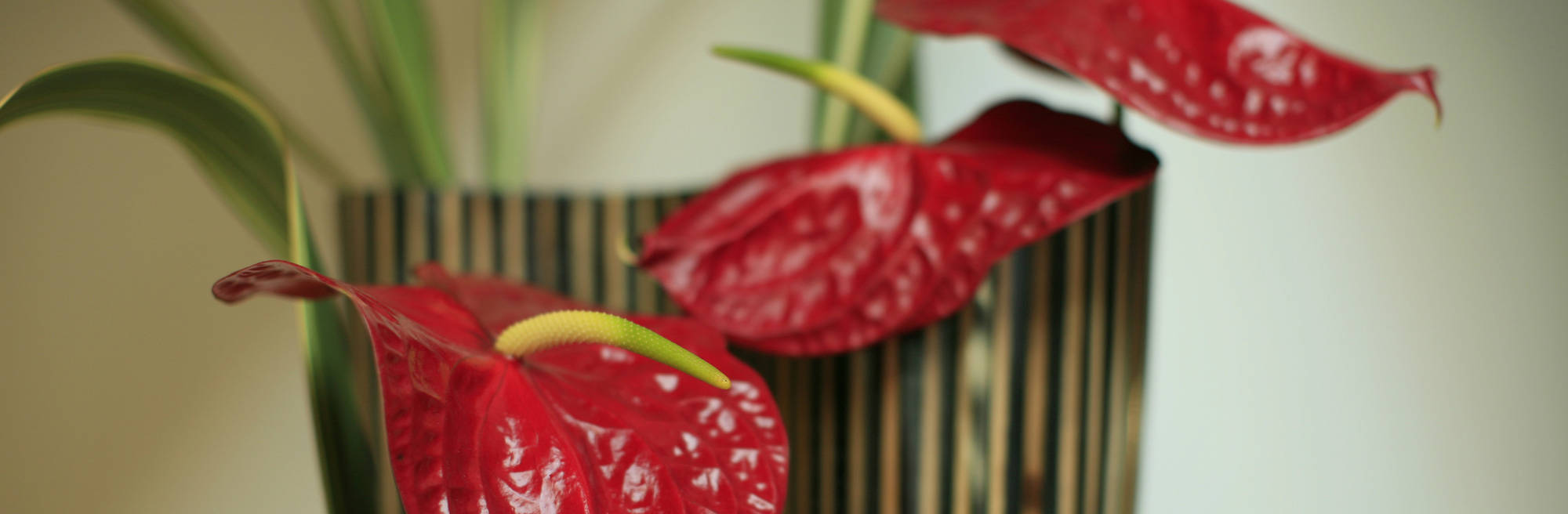 Onyria Quinta da Marinha, Cascais, Portugal